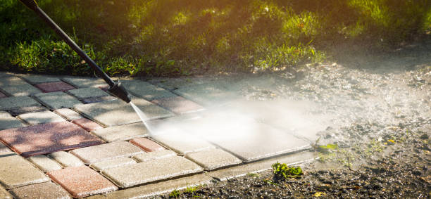 Best Gutter Cleaning  in Raymond, MS